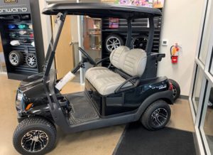 Golf Cart battery