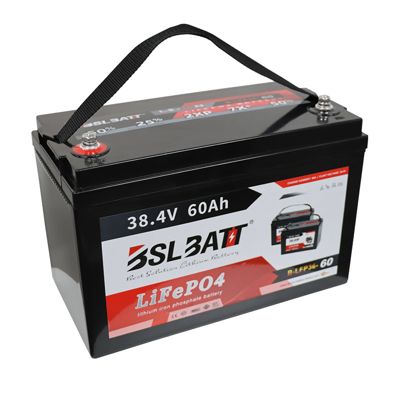 Cargador baterías Litio Carro de Golf LiFePO4 - Baterias para todo